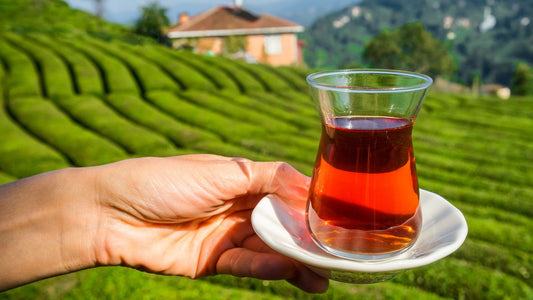 Türk Çayının Güneşi: Altın Rengi ve Yoğun Aromasıyla Rize Çayı