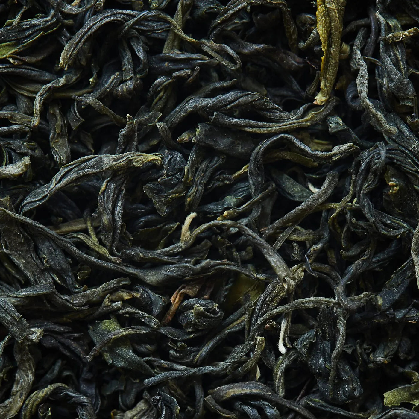 GU ZHAN MAO JIAN ORGANİK yeşil çay - 50 g