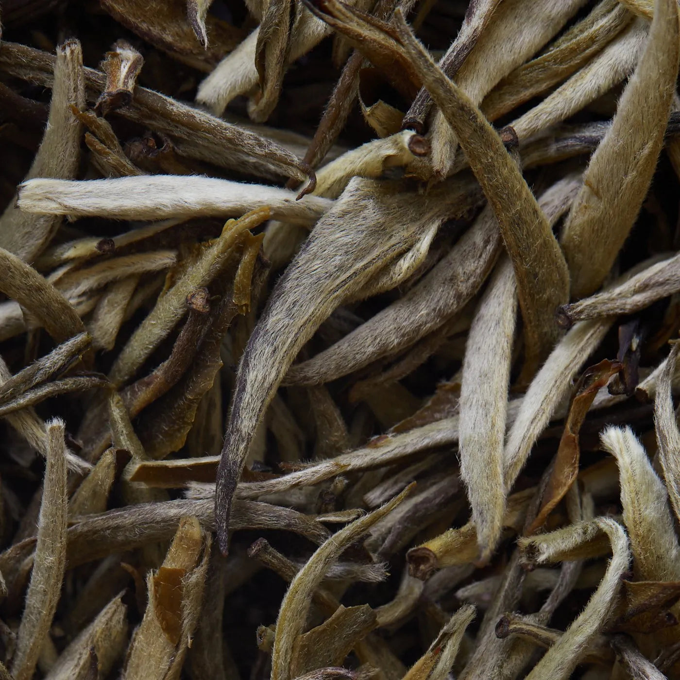 JASMIN IMPERIAL beyaz çay - 50 g