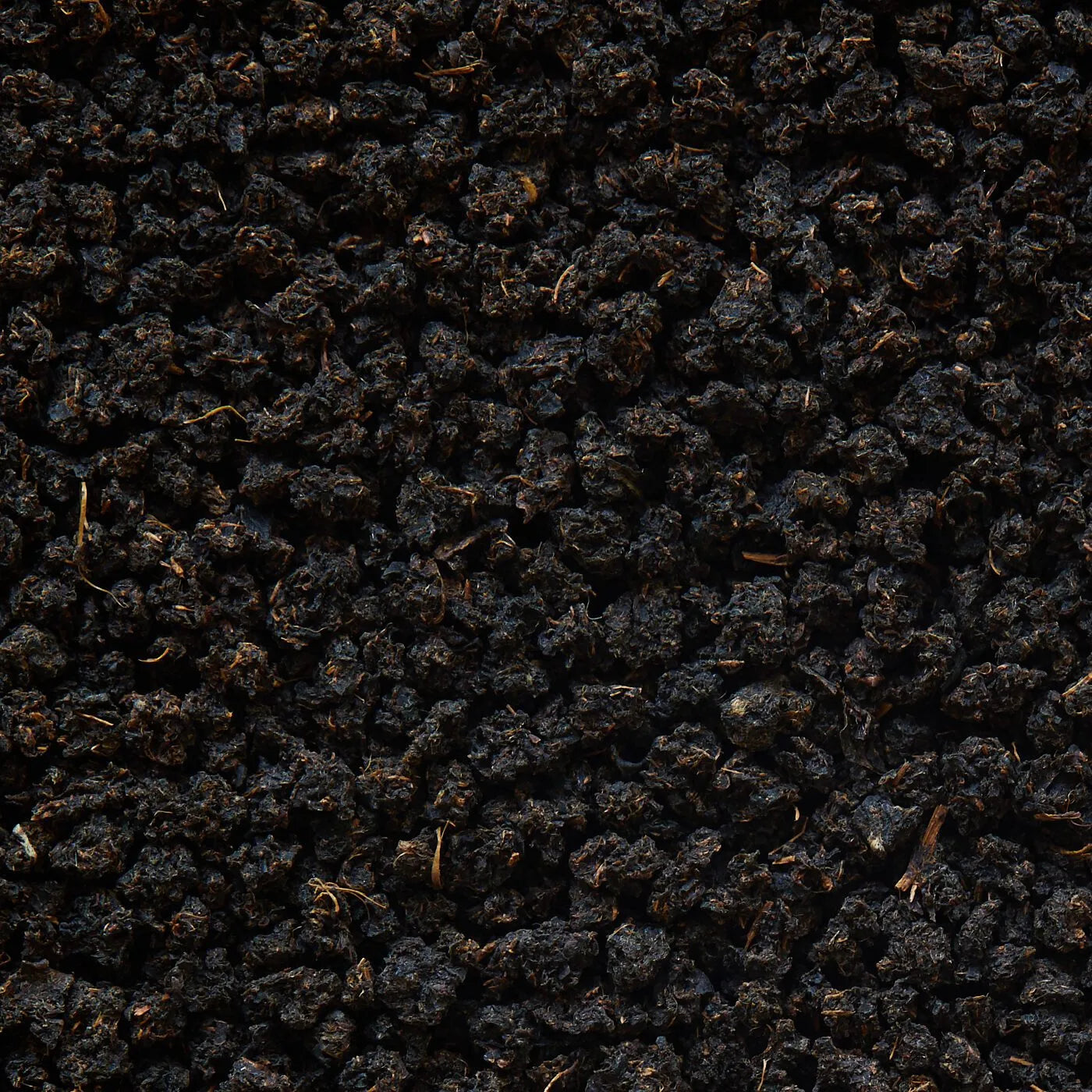 Broken Assam Siyah Çay "Typhoo" Bukhial BOP - 50 g