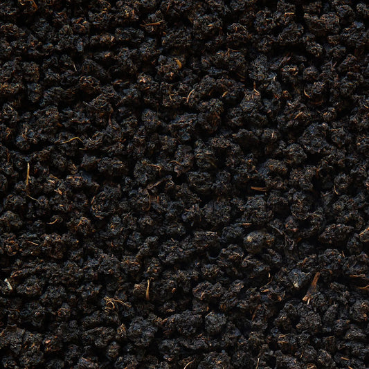 Broken Assam Siyah Çay "Typhoo" Bukhial BOP - 50 g