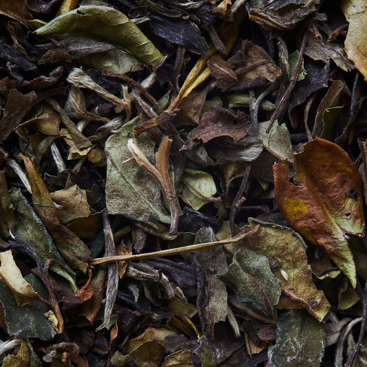 BAI MU DAN beyaz çay - 50 g