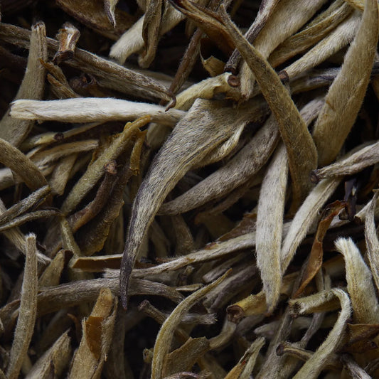 JASMIN IMPERIAL beyaz çay - 50 g