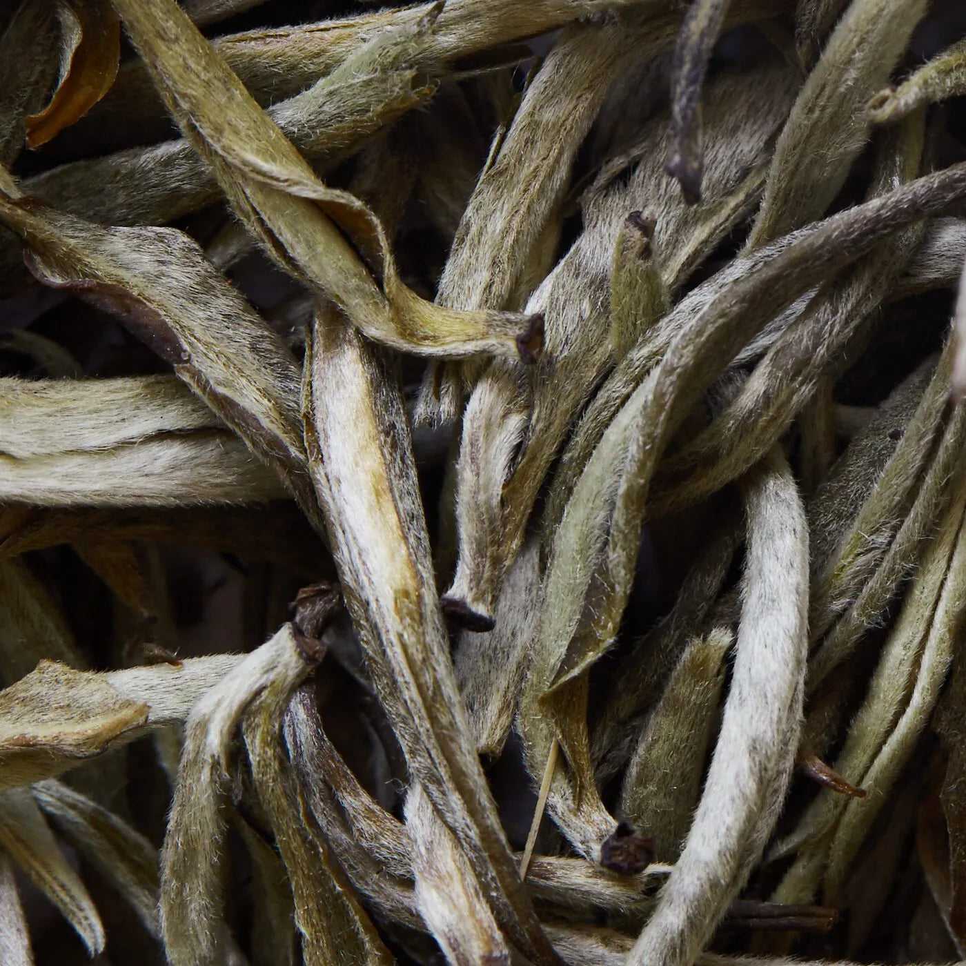 YUNNAN YIN ZHEN beyaz çay - 50 g