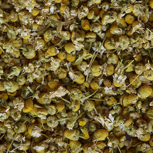 PAPATYA bitki çayı - 50 gr